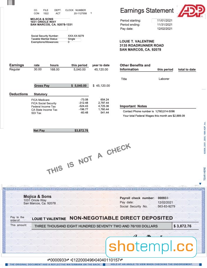 ADP PayStub PDF Template
